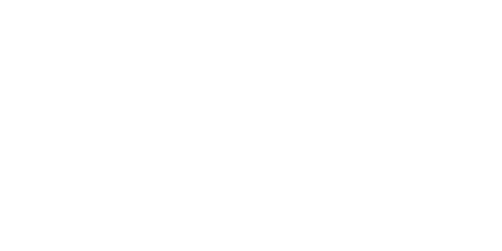 Menêses Seguros